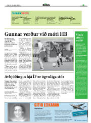 Síða 17