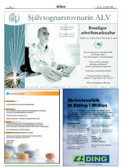 Síða 29