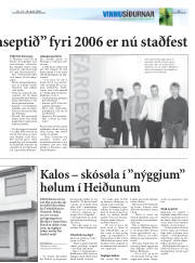 Síða 13