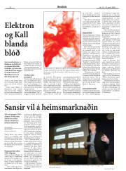 Síða 22