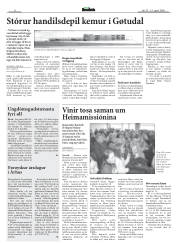 Síða 8