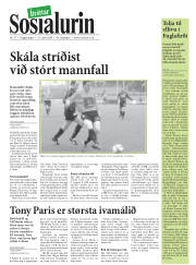 Síða 17