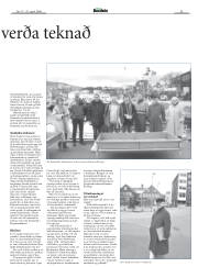 Síða 33