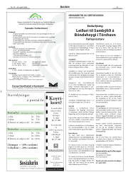 Síða 21