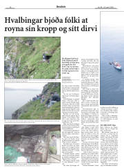 Síða 17
