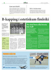 Síða 29