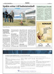Síða 3