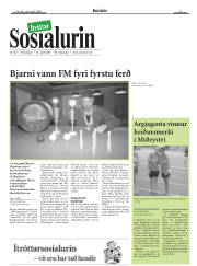 Síða 37