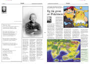 Síða 11