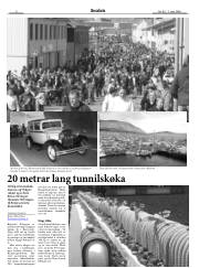 Síða 6