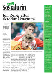 Síða 17