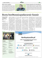 Síða 21