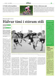 Síða 25