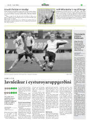 Síða 27