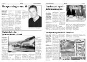 Síða 3
