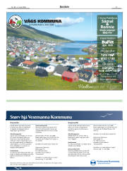 Síða 17