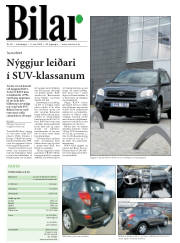 Síða 20