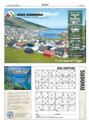Síða 29
