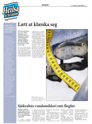 Síða 30