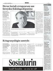 Síða 15