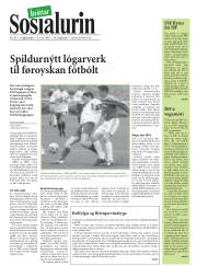 Síða 19