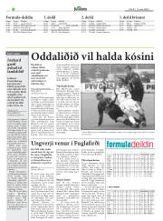 Síða 20