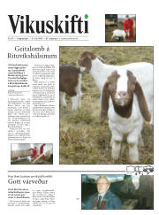 Síða 26