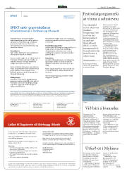 Síða 29