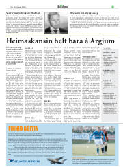 Síða 29