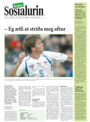 Síða 21