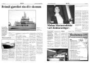 Síða 3