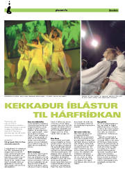 Síða 26