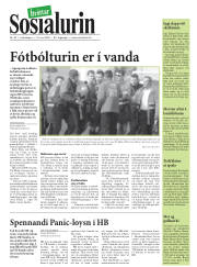 Síða 33