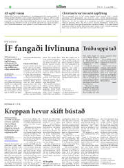 Síða 21