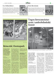 Síða 23