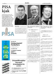 Síða 8