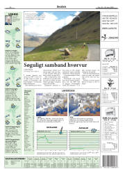 Síða 40