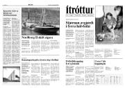 Síða 8