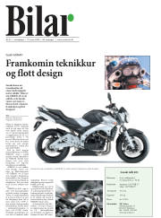Síða 16