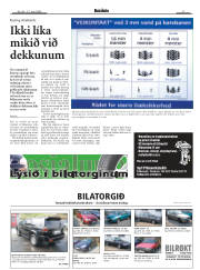 Síða 17