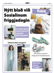 Síða 33