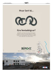 Síða 3