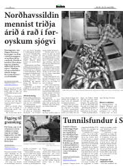 Síða 7