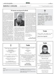 Síða 12