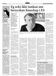 Síða 15