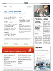 Síða 27