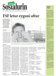 Síða 32