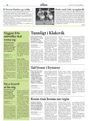 Síða 33