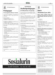 Síða 44