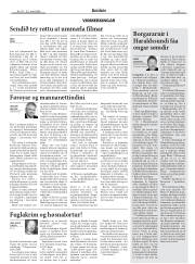 Síða 11